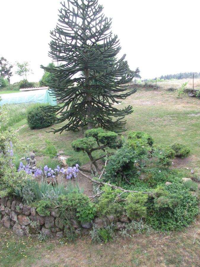 Bed and Breakfast Chez Sophie Et Gilles Monistrol-sur-Loire Zewnętrze zdjęcie